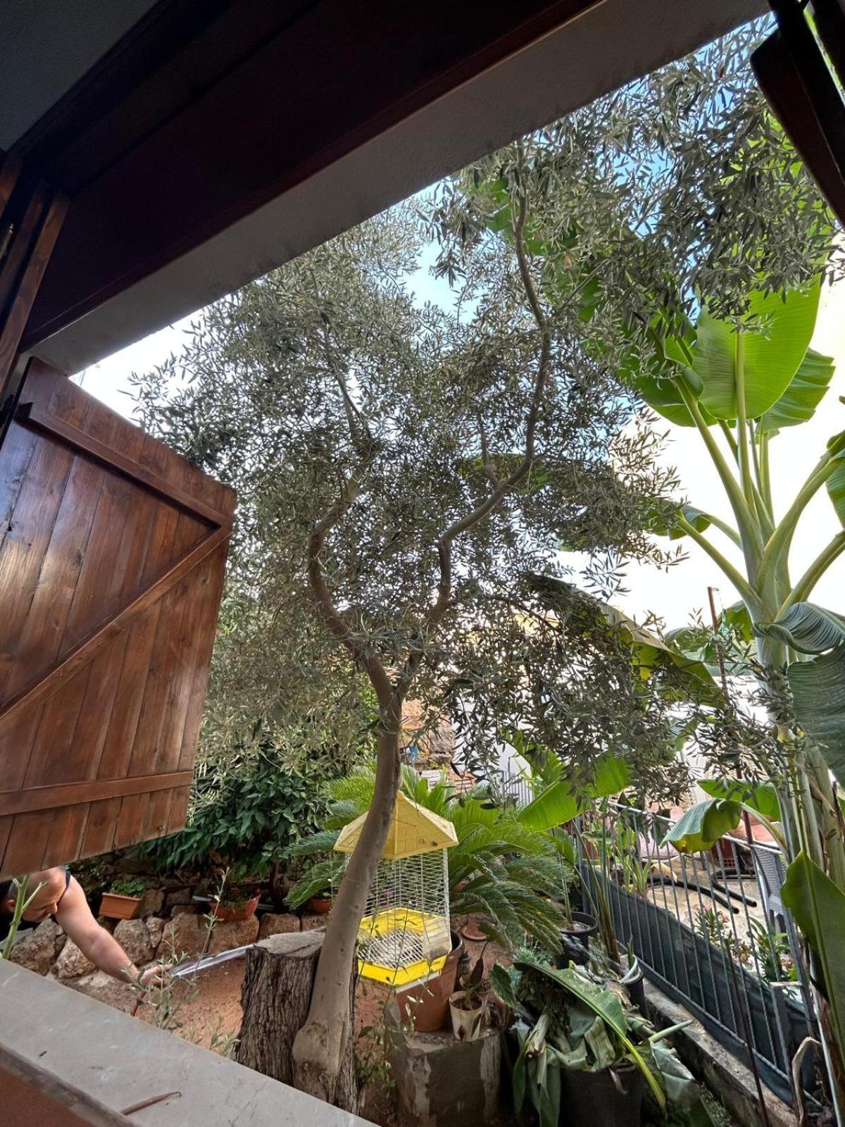 Magic Moon Guest House ฟามากุสต้า ภายนอก รูปภาพ